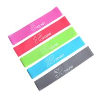 Resistance Loop Bands - Exercise Workout Booty Bands Set of 5 for Women, Bands for Working Out