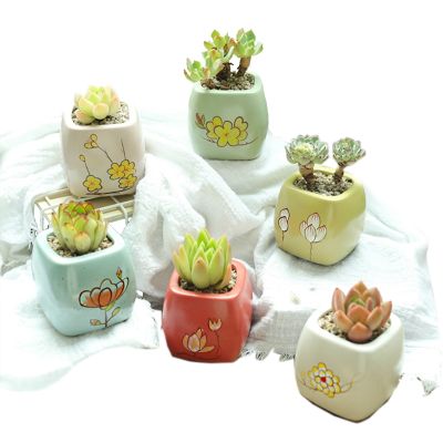 【cw】 Breathable Hand painted Antique Pot Courtyard Garden Decoration Ornament Bonsai Basin Succulent Flowerpot ！