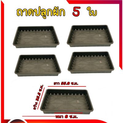 ถาดปลูกผัก 5 ใบ เพาะต้นอ่อน เพาะเมล็ด ถาดอเนกประสงค์ ไว้ปลูกผักสวนครัว ใช้เพาะแคนตัส พื้นที่น้อย