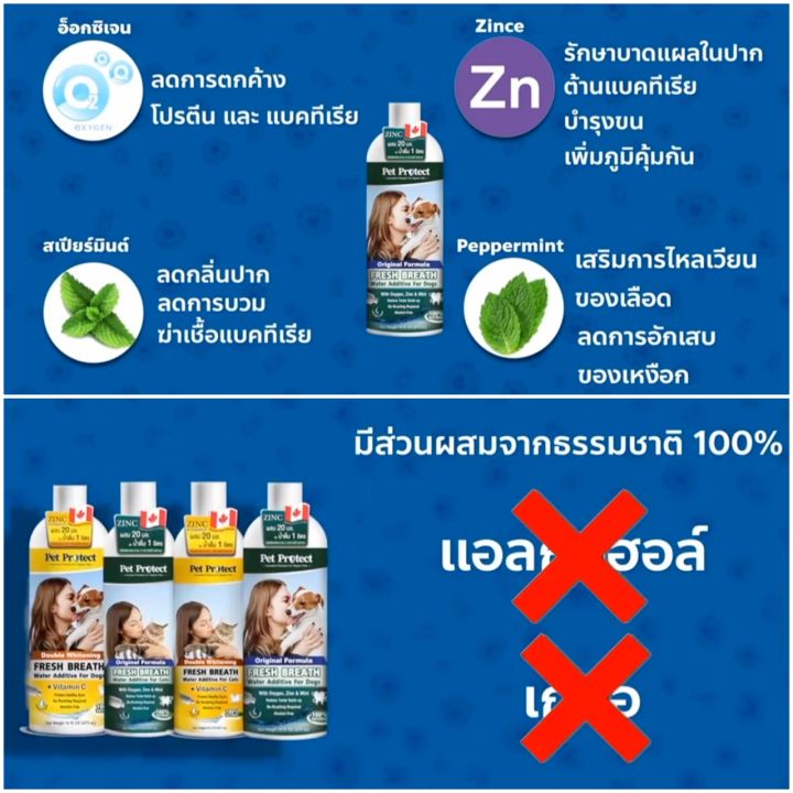 pet-protect-original-formula-สีเหลือง-น้ำยาดับกลิ่นปากสำหรับ-สุนัข-ใช้ผสมน้ำดื่ม-ลดคราบหินปูน-ลดกลิ่นปาก