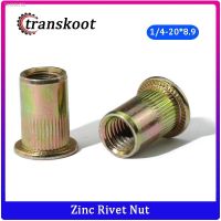 ▼✧ 20PCS Imperial Rivet Nut Carbon Steel Flat Head Threaded Insert Nut Set Nuts Insert Reveting