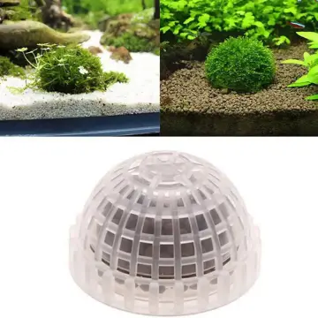 3-4cm Marimo Moss Balls Live Aquarium Plant Algae Fish Shrimp Tank Ornament  Simulation Green Algae Balls Artificial Plant 