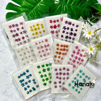 【พร้อมส่ง】ดอกพลัมญี่ปุ่น ดอกพลัมทับแห้ง (Plum) มี12สี?20 ดอก Pressed Flowers?