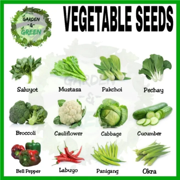 Vegetable Seeds ︎Pechay ︎mustasa ︎sili ︎talong ︎okra ︎pipino ︎bell ...