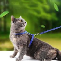 【CW】 Escape proof Small Dog Cat Harness Collar with Leash Set H Shape Choke Free Puppy Kitten Harness Soft Nylon Strap Collar for Pet