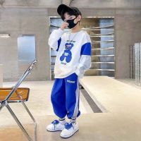 【CC】 Boys Sweatshirts  Pants Cotton 2Pcs/Sets2022 Thicken Sets Kid Breathable Children Clothing