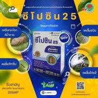 ซีโปซิน 25 บูโพรเฟซิน (buprofezin) 25% WP คุมไข่เพลี้ย ยับยั้งการลอกคราบ เพลี้ยกระโดดมาแล้วนะจ๊ะ ฉีดคุมไว้ได้เลยจ้า