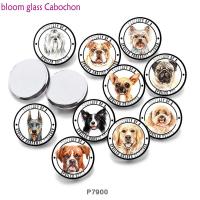 Dog   Round Resin Glass Cabochon  Flat Back Making Findings  P7900 Beads