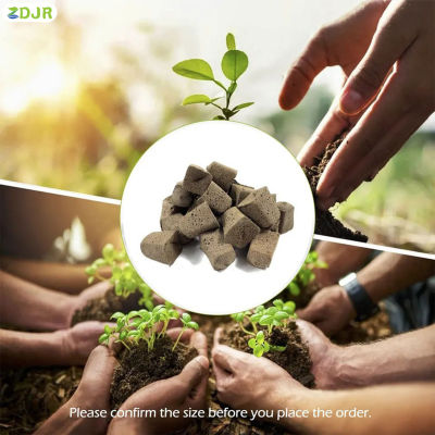 ZDJR 10ชิ้นฟองน้ำสำหรับปลูกพืชรากต้นกล้าพืชสำหรับรูปดอกไม้ต้นไม้ไฮโดรโปนิกส์