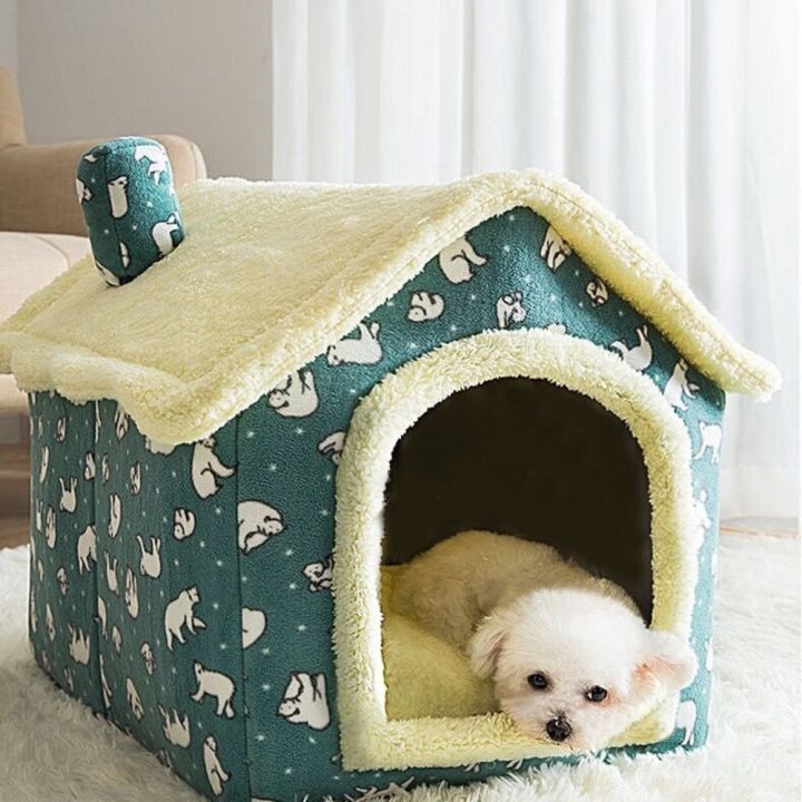 ชิวาวาบ้านฤดูหนาว-pets-baby