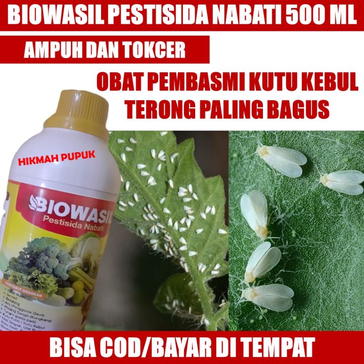 Langsung Kirim Pestisida Biowasil Isi 500 Ml Obat Pembasmi Hama Ulat Grayak Lalat Buah Ulat 0841