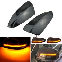 2x For Mercedes Benz C Class W204 S204 07-14 Viano Vito W639 ML W164 LED Dynamic Turn Signal Light Side Mirror Indicator Blinker