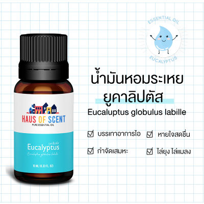 [บริสุทธิ์] น้ำมันหอมระเหย ESSENTIAL OIL กลิ่น ยูคาลิปตัส EUCALYPTUS ขนาด 10 ML หรือ 30 ML น้ำหอมใส่เครื่องพ่น น้ำหอมในบ้าน น้ำหอมเตาอโรม่า   - HAUS OF SCENT