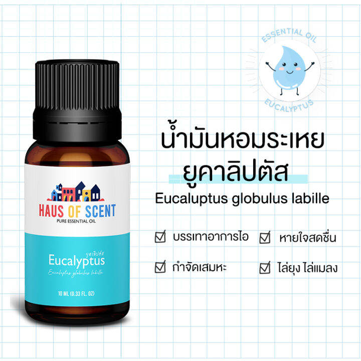 3-อันดับขายดี-น้ำมันหอมระเหย-essential-oil-น้ำหอมใส่เครื่องพ่น-น้ำหอมในบ้าน-น้ำหอมเตาอโรม่า-ยูคาลิปตัส-eucalyptus-เปปเปอร์มินต์-peppermint-ลาเวนเดอร์-lavender-haus-of-scent