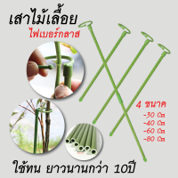 เสาค้ำต้้นไม้/เสาไม้เลื้อย/วัสดุไฟเบอร์กลาส/พร้อมห่วงพลาสติก/ขนาดยาว 30-80cm