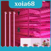 xoia68 Shop Plants Full Spectrum LED flower Grow tent box Light grow Greenhouse Phyto lamp kit red blue veg Indoor Cultivation Growth Lights