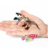 Monkey Toys - โมเดล ไดโนเสาร์ Pterosaurus ขนาด 13.00 CM (จากหาดใหญ่)