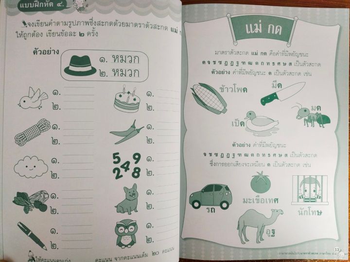 หนังสือเด็ก-เสริมทักษะภาษาไทย-เด็กปฐมวัย-ชุด-ภาษาพาเพลิน-ไปกับ-มาตราตัวสะกด-ภาษาไทย-ป-๑