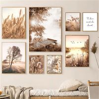 2023 ❀✙ Autumn Sunlight LandscapeCanvas Painting Wall Art Nordic Reed Poster Wheat Ears Poster Wall Pictures For Living Room Fall Decor