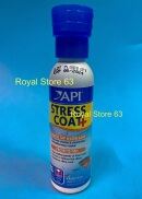 API STRESS COAT - THẦN DƯỢC DÀNH CHO CÁ CẢNH, CÁ RỒNG, KOI