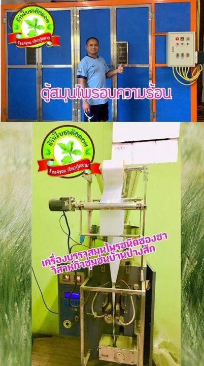 ผงชาโฮจิฉะ-100-ชาเขียวมัทฉะคั่ว-ขนาดบรรจุ-50-กรัม-hojicha-powder-ชนิดละลายน้ำ-ผลิตในประเทศไทย-hojicha-extract-powder-เหมาะสำหรับเบเกอรี่-ผงเครื่องดื่ม-ไม่มีน้ำตาล-เกรดพรีเมี่ยม-ผ่านกระบวนการผลิตด้วยวิ
