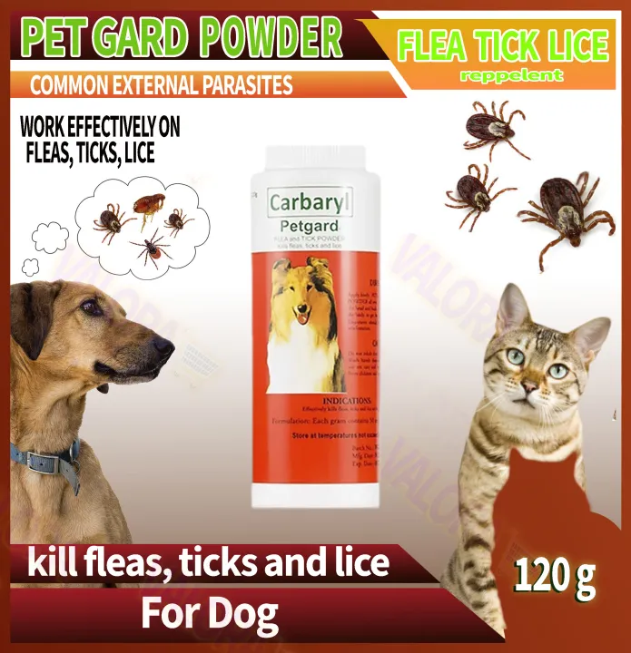 POWDER FOR DOG and CAT Anti LICE TICKS FLEAS 120g Lazada PH