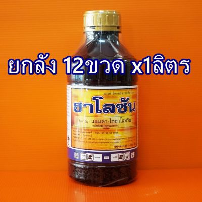 ##ยกลัง 12ขวด## แลมป์ดา-ไซฮาโลทริน 2.5% #ฮาโลซัน เพลี้ยไก่แจ้ทุเรียน เพลี้นอ่อน หนอนเจาะยอด หนอนเจาะ เพลี้ยแป้ง เพลี้ย หนอน ด้วง