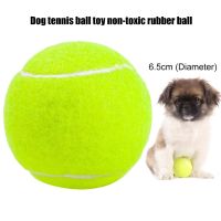 【YF】◑♝♚  Durable Training Rubber Dog 6.5cm Tennis Catching Game игрушки для собак мягкие сек