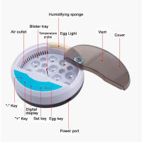 ฟักไข่อุณหภูมิเครื่องมือโรงเพาะฟัก Brooder H Atcher ศูนย์บ่มเพาะควบคุมนกนกนกกระทาเจี๊ยบ9บ้านมินิศูนย์บ่มเพาะฟาร์มสัตว์ปีก
