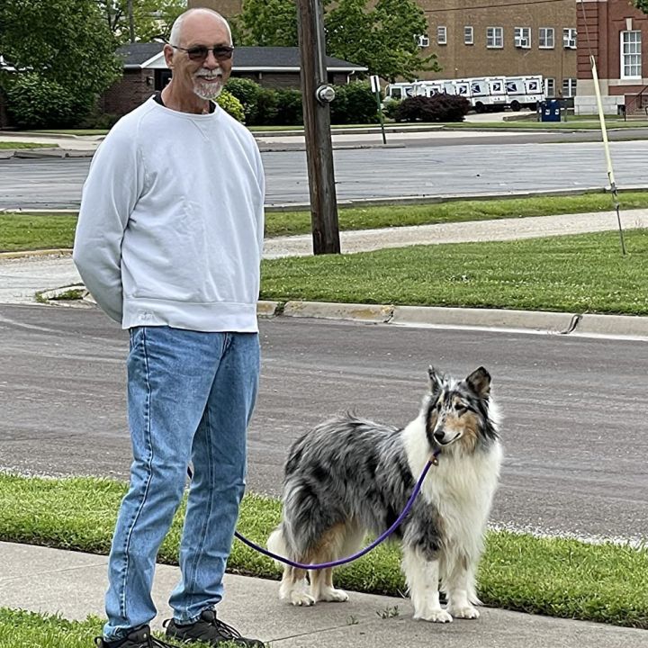 papi-pet-เชือกสำหรับติดซิปสุนัขสายจูงปรับได้มีห่วงขนาด6ฟุต-สายจูงแบบสบายรองรับการดึงสุนัขขนาดใหญ่ขนาดกลางที่แข็งแรงที่สุด