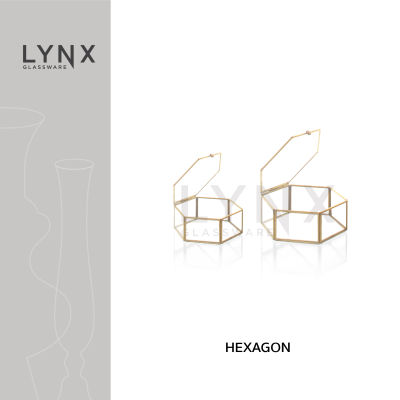 LYNX - Hexagon - แจกันกระจก ทรงเรขาคณิต ทรงหกเหลี่ยม สำหรับตกแต่งบ้านสมัยใหม่และมีสไตล์ มีให้เลือก 2 ขนาด -ไม่สามารถใส่น้ำได้