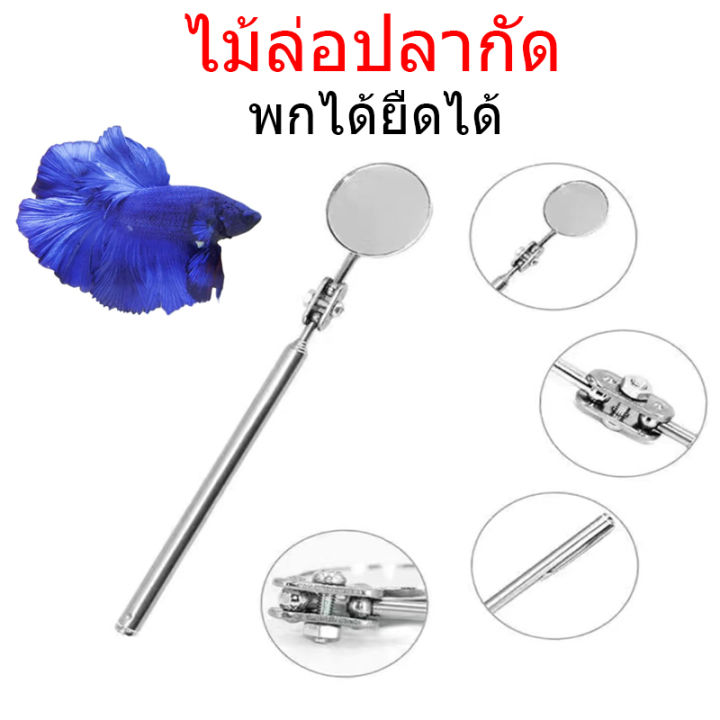 ไม้ล่อปลากัด-กระจกล่อปลา-ปลากัด-พกได้ยืดได้-เส้นผ่าศูนย์กลางกระจก-51mm-ยืดได้สูงสุด-750-mm-เพิ่มความมีชีวิตชีวาให้ปลากัด