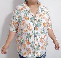 เสื้อผู้หญิง ลายใบไม้ คอกลมคอปก