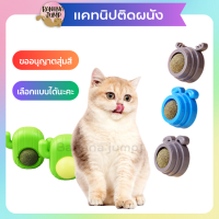 BJ Pet - แคทนิปติดผนัง หลายแบบ แคทนิปแมว กัญชาแมว สมุนไพรแมว ของเล่นแมว สำหรับแมว