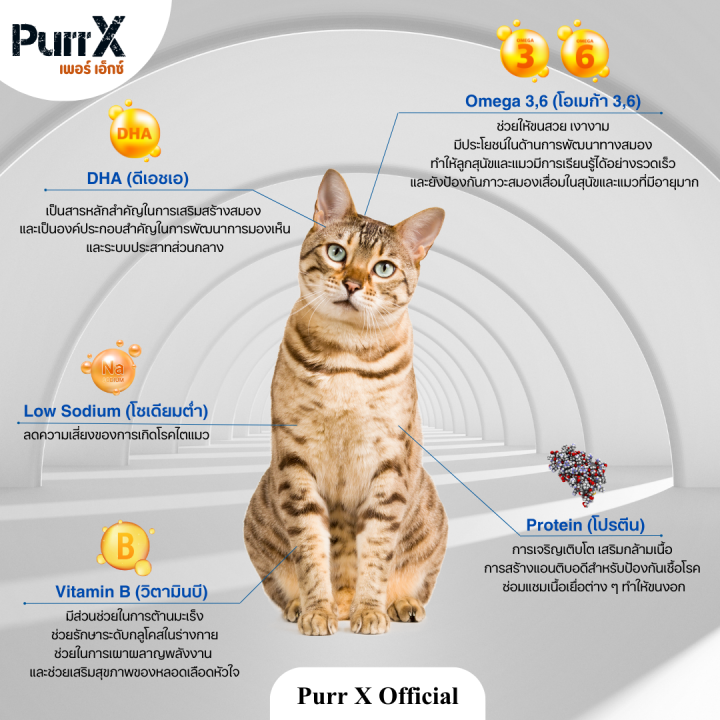 purr-x-ขนมฟรีซดรายแมวเกรดพรีเมียม-เซ็ทแซลมอน-5-ถุง-ขนาดรวม-500-กรัม-salmon-freeze-dried-500-g-ขนมแมว-ขนมสุนัข