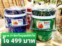 29ลิตร  ใบใหญ่ คละสีครับ   ปากกว้างไม่รวมขอบ30ซม  สูงรวมฝา40ซม   กระติกน้ำแข็ง  ซัยโจ  Ice bucket   สินค้าคุณภาพดี  กระติกน้ำ  กระติก