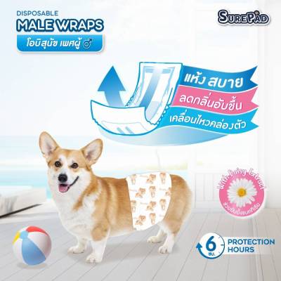 🐶โอบิสุนัข (เพศผู้ ) ผ้าอ้อมรัดเอว เก็บกลิ่นได้ดี 💦🐾SurePad Male Wraps🐾