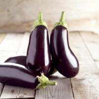 เมล็ดพันธุ์ มะเขือฟลอริด้า (Florida Market Eggplant Seed) บรรจุ 100 เมล็ด  คุณภาพดี ราคาถูก ของแท้ 100%