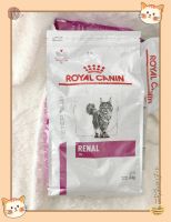 Royal canin สูตร renal สำหรับแมวเป็นโรคไต ขนาด 4 กก. รอยัล คานิน แมวโรคไต