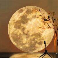 Moon Earth Projection LED Lamp Projector Night Lights Home Decor Adults/Kid Gift