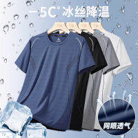 Mesh Stretch Short Sleeve T-Shirt Mens Summer Thin 2023 New Fashion Brand Dad Wear Ice Silk Casual Top Clothes