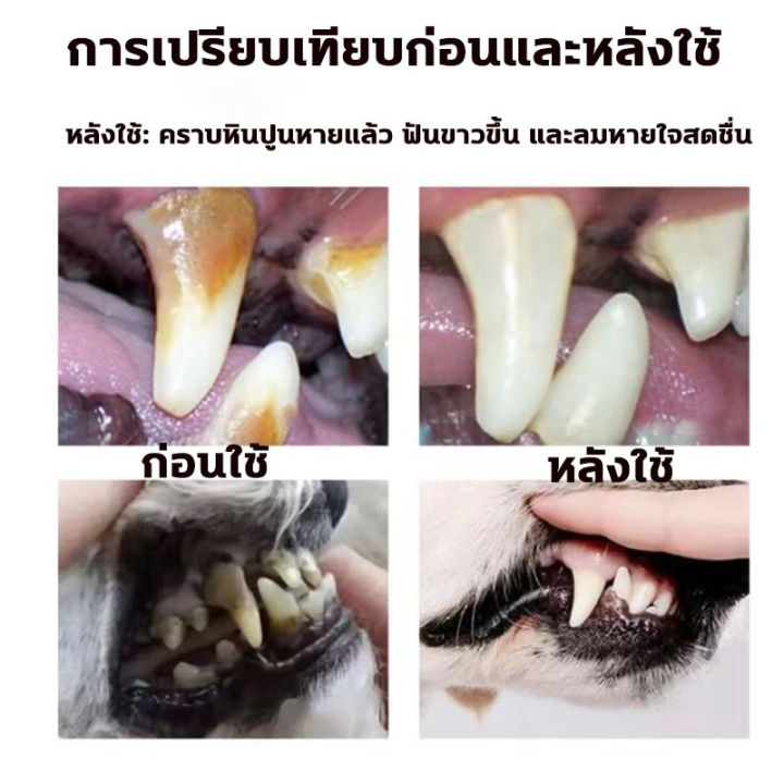 แนะนำจากหมอสัตว์เสี้ยง-liuyuan-น้ำยาดับกลิ่นปากแมว-100ml-น้ำยาดับกลิ่นปากสุนัข-ป้องกันโรคในช่องปากของสัตว์เลี้ยง-ขจัดฟันคราบพลัคแคลคูลัสทันตกรรมใช้ได้ทั้งแมวและสุนัข-ดับกลิ่นปากแมว-ดับกลิ่นปากหมา-สเปร