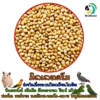 มิลเล็ตครีม Creamy Millet  แบ่งขาย 500-1000 กรัม อาหารนกแก้วทุกสายพันธุ์ ลิฟเบิร์ด ค็อกคาเทล