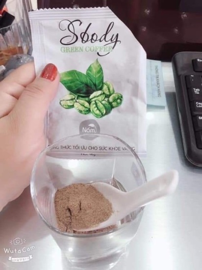 Nấm giảm cân sbody green coffee - ảnh sản phẩm 2