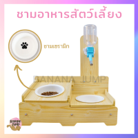 BJ Pet - ชามอาหารสัตว์เลี้ยง ฐานไม้ ชามอาหารสัตว์เลี้ยง ชามอาหารหมา ชามอาหารแมว สำหรับสัตว์เลี้ยง