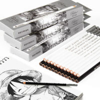 ดินสอถ่านสีขาว Professional Black Charcoal PEN Sketch Drawing for Drawing Soft-Medium-Hard chrcoal PEN