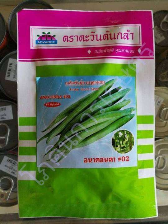 เมล็ดพันธุ์บวบงู-อนาคอนดา-02-ขนาด-20-กรัม