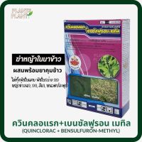 ควินคลอแรก+เบนซัลฟูรอนเมทิล 100กรัม quinclorac+bensulfuron-methyl สารกำจัดวัชพืช ผสมพร้อมยาคุมข้าว กำจัดวัชพืชใบแคบ ใบกว้าง ข้าวนก กระดูกไก่ กก