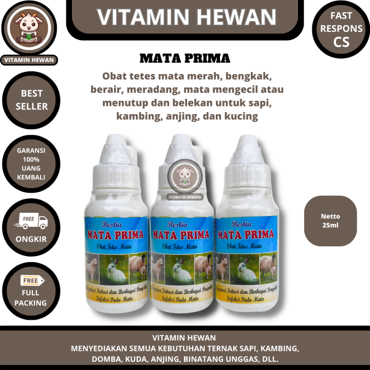 MATA PRIMA 25 Ml | Obat Sakit Mata Belek Kucing Anjing Kambing Sapi ...