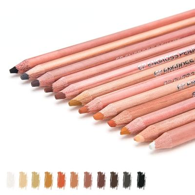 ดินสอสีผิว12สีพาสเทลวาดรูปประจำตัวการ์ตูนดินสอสีมืออาชีพสำหรับอุปกรณ์สำหรับโรงเรียนศิลปะ